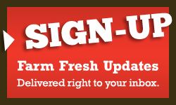 Sign-Up
